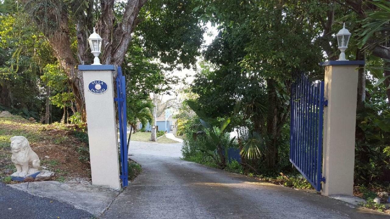 Villa Indigo Sunny 1Br Apartment In Private Gated Estate Σαρλότ Αμαλί Εξωτερικό φωτογραφία