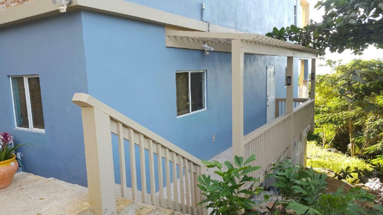 Villa Indigo Sunny 1Br Apartment In Private Gated Estate Σαρλότ Αμαλί Εξωτερικό φωτογραφία